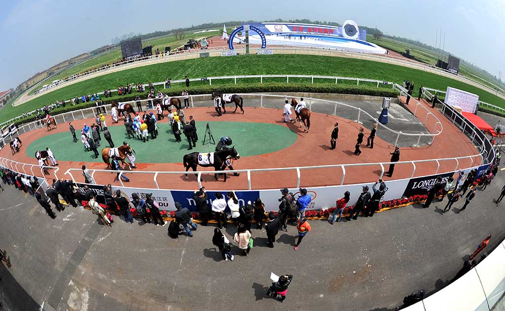 2014中国成都-温江迪拜国际杯赛马经典赛金激情上演