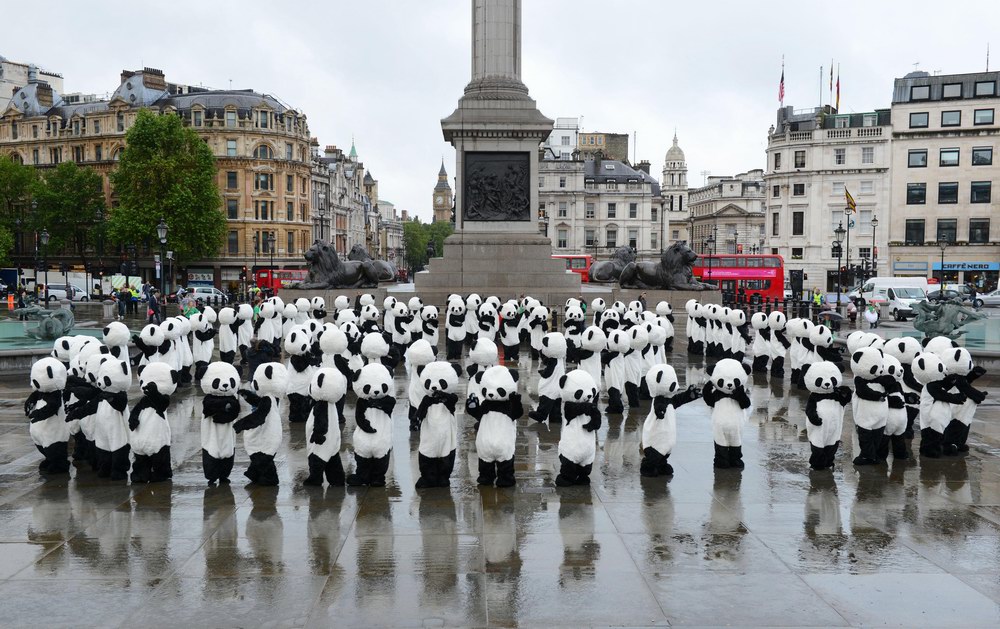 Panda Awareness Week熊猫保护意识周：成都大熊猫“熊抱”伦敦奥运